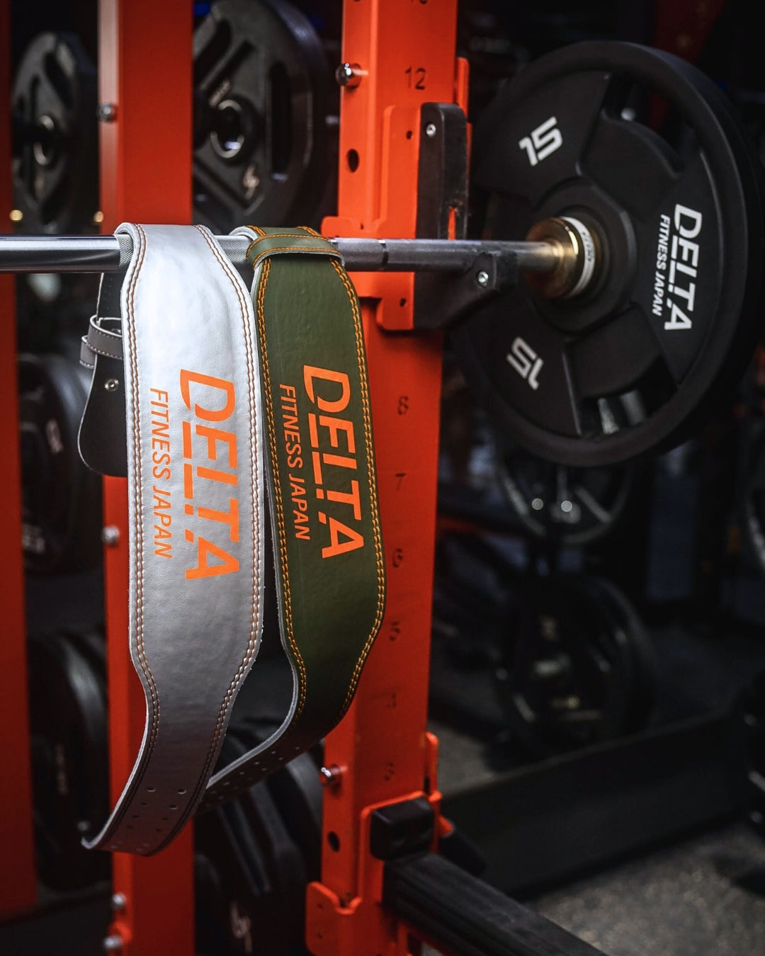 DELTA FITNESS ORIGINAL LIFTING BELT