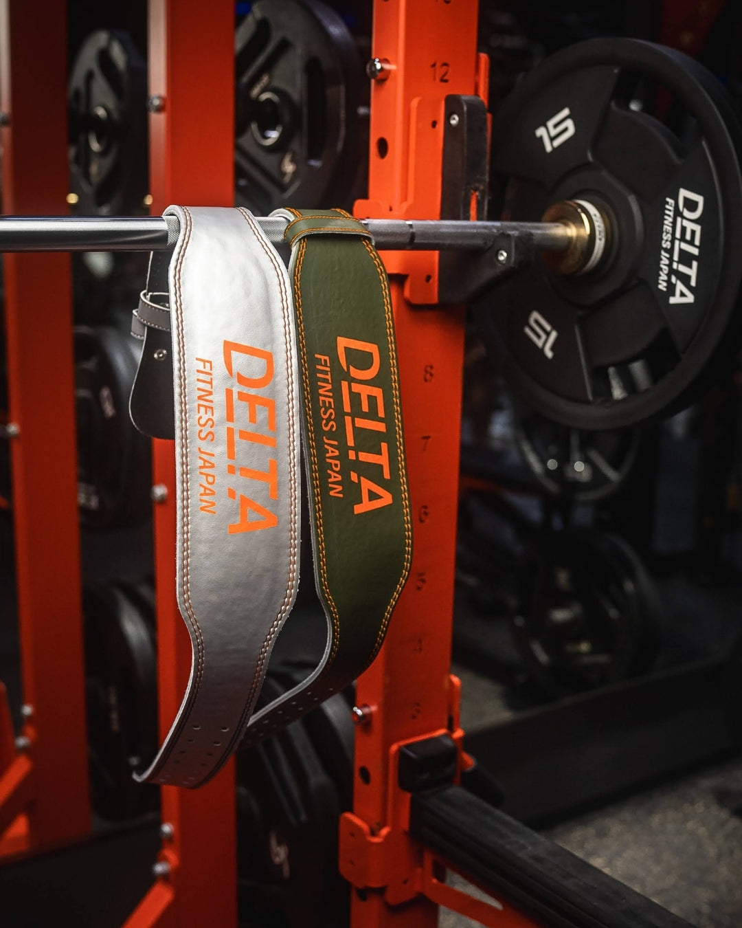 DELTA FITNESS ORIGINAL LEATHER LIFTING BELT V3(SILVER)